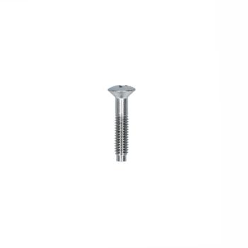 Rücklichtschraube T1 58-61 + T1/T2 US-Version 61-72