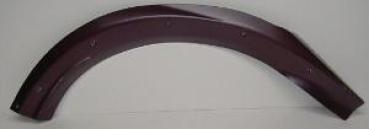 Kotflügelschraubkante hinten links