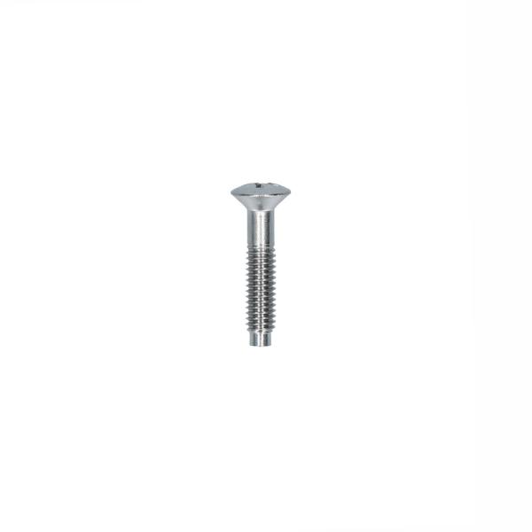 Rücklichtschraube T1 58-61 + T1/T2 US-Version 61-72